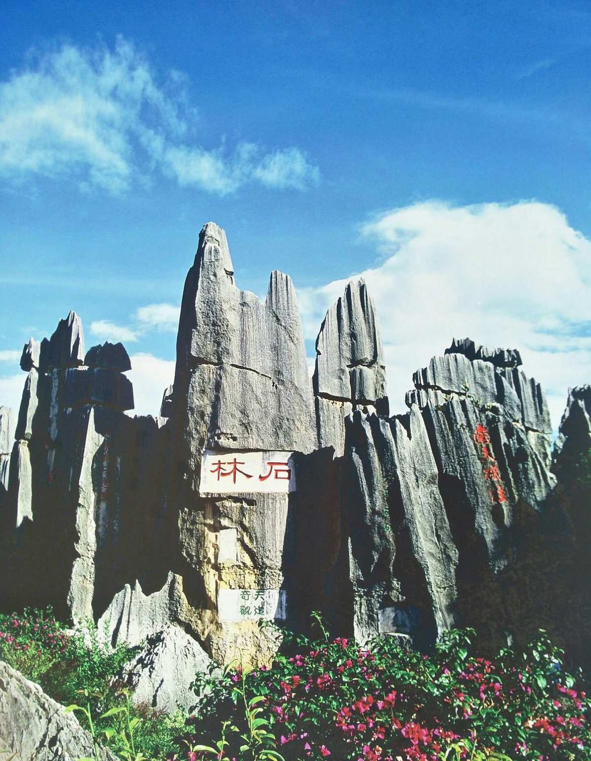 Scopri di più sul tour giornaliero della foresta di pietra di Kunming