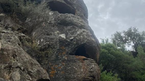 Desde Arbatax: recorrido en jeep de 4 horas por la meseta de Golgo en Baunei