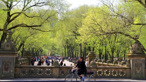 NYC: プライベート セントラル・パークツアー