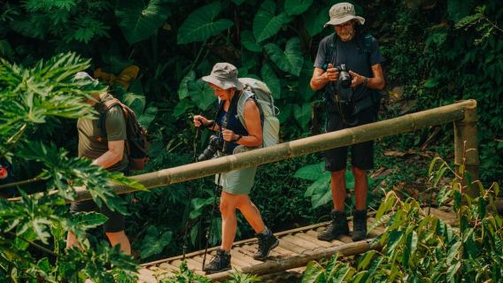 Yogyakarta: Merapi Sunrise Jeep and Trek with Lunch