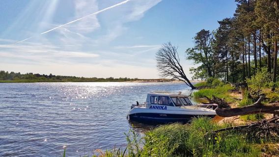 From Riga: Four Natural Ecosystems In One Hike