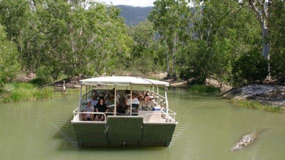 Cairns: Hartley's Crocodile Adventures Visit with Transfer