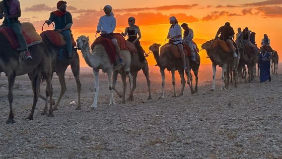 Marrakech: Tur Gurun dengan Makan Malam, Pertunjukan, dan Naik Unta