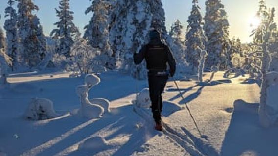 Saariselkä: tour guidato di sci di fondo