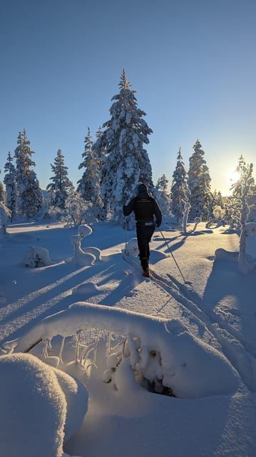 Saariselkä: tour guidato di sci di fondo