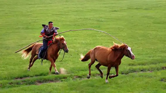 มองโกเลียใน: ทัวร์ส่วนตัว 5 วันพร้อมการผจญภัยในทะเลทราย