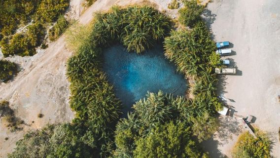 Arusha: Day Trip to Kikuletwa Hot Springs Swimming