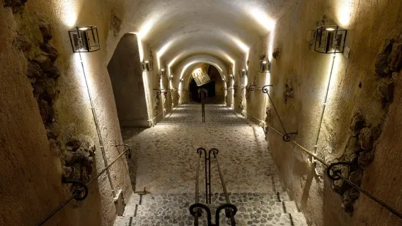 Vothonas: biglietto per il Museo del Vino con degustazioni e audioguida