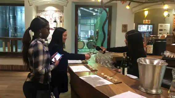 ทัวร์ 1 วัน ชิมไวน์กลุ่มเล็กในเคปทาวน์ ชิมไวน์ที่ไร่องุ่น 4 แห่งในเคปทาวน์