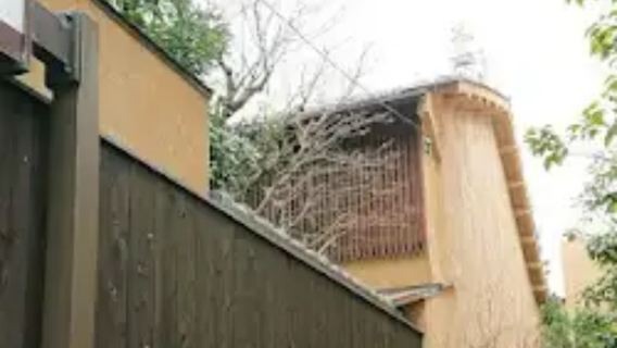 56 internet-famous Japanese food: Kyoto's Michelin-starred tempura restaurant, Ten-you