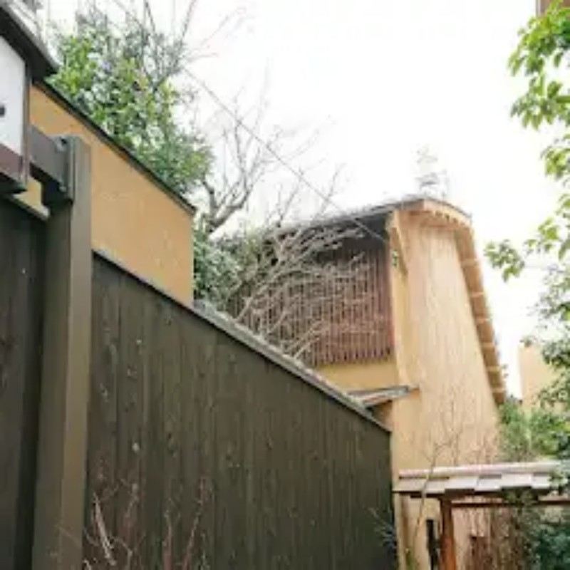 56 internet-famous Japanese food: Kyoto's Michelin-starred tempura restaurant, Ten-you