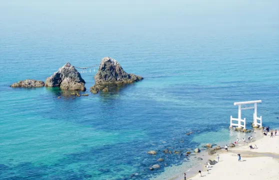 期間限定|九州6景：系島白絲瀑布+一蘭之森+夫婦岩+天使之翼