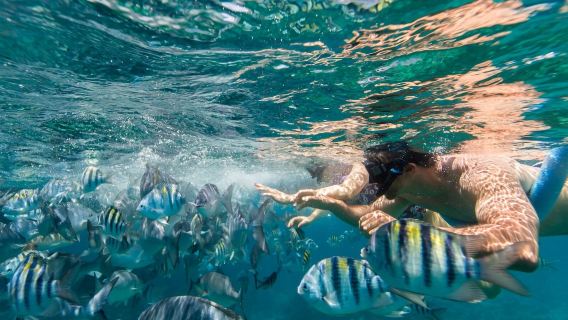 Снорклинг на 3 островах на скоростном катере в Фукуоке – малая группа + обед-барбекю