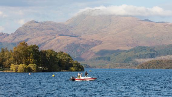 tour di un giorno al Lago Lomond e al Castello di Stirling|include crociera + biglietto d'ingresso al castello|Piccoli gruppi esclusivi