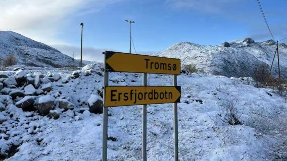 厄斯福德包車一日遊：五大體驗（峽灣／極光／徒步／野生動物）