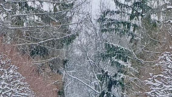 1-day private charter tour to Lake Ladoga, Russia