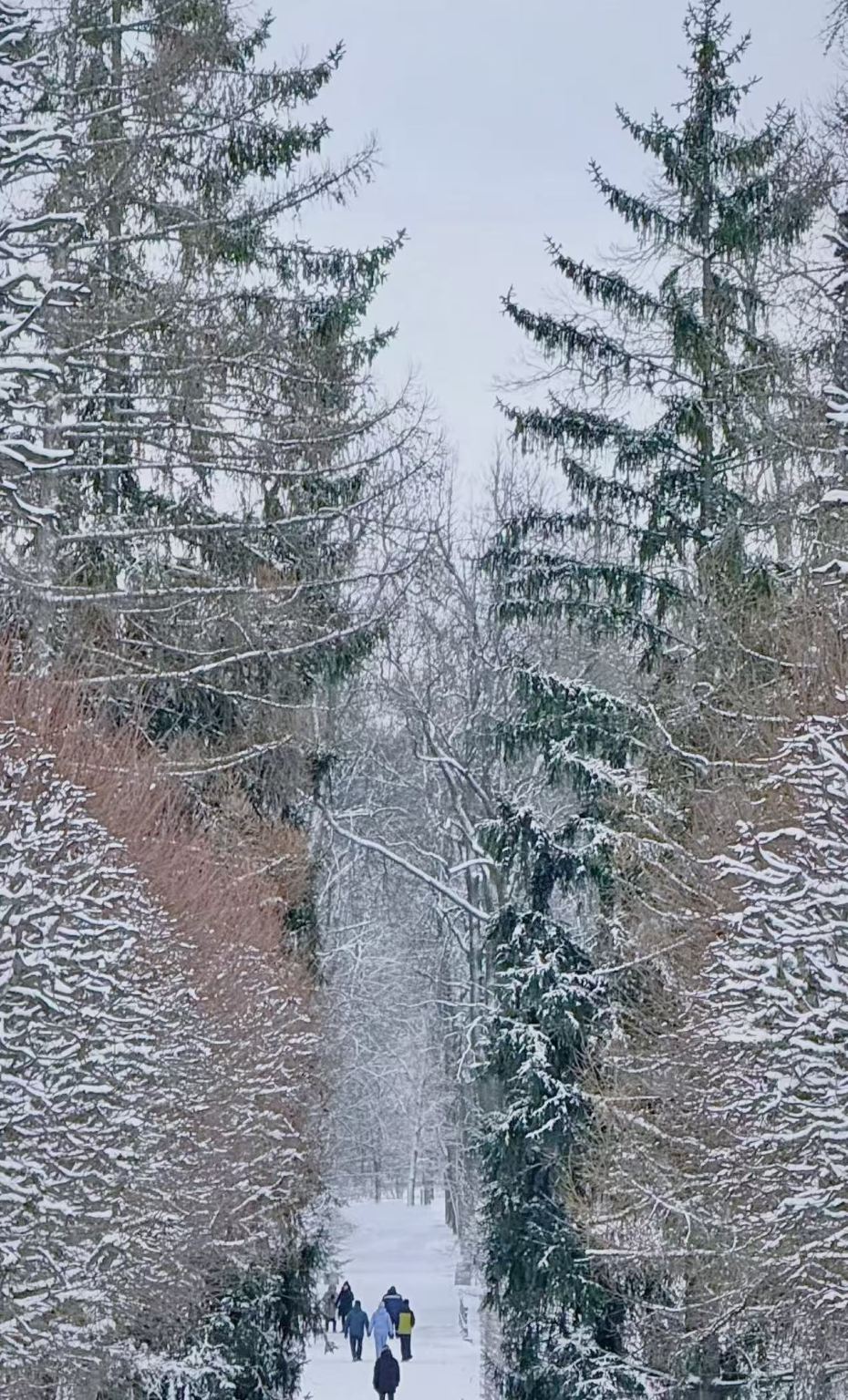 1-day private charter tour to Lake Ladoga, Russia