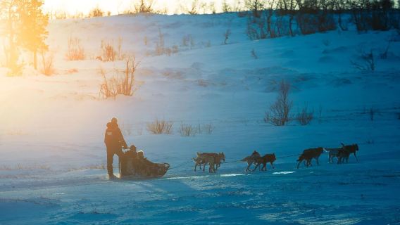 挪威特羅姆瑟狗拉雪橇一日遊【自駕雪橇+特羅姆瑟包車來回】