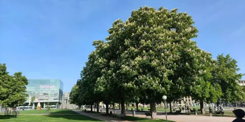 斯圖加特新王宮+宮殿廣場+舊宮殿& 符騰堡州立博物館一日遊