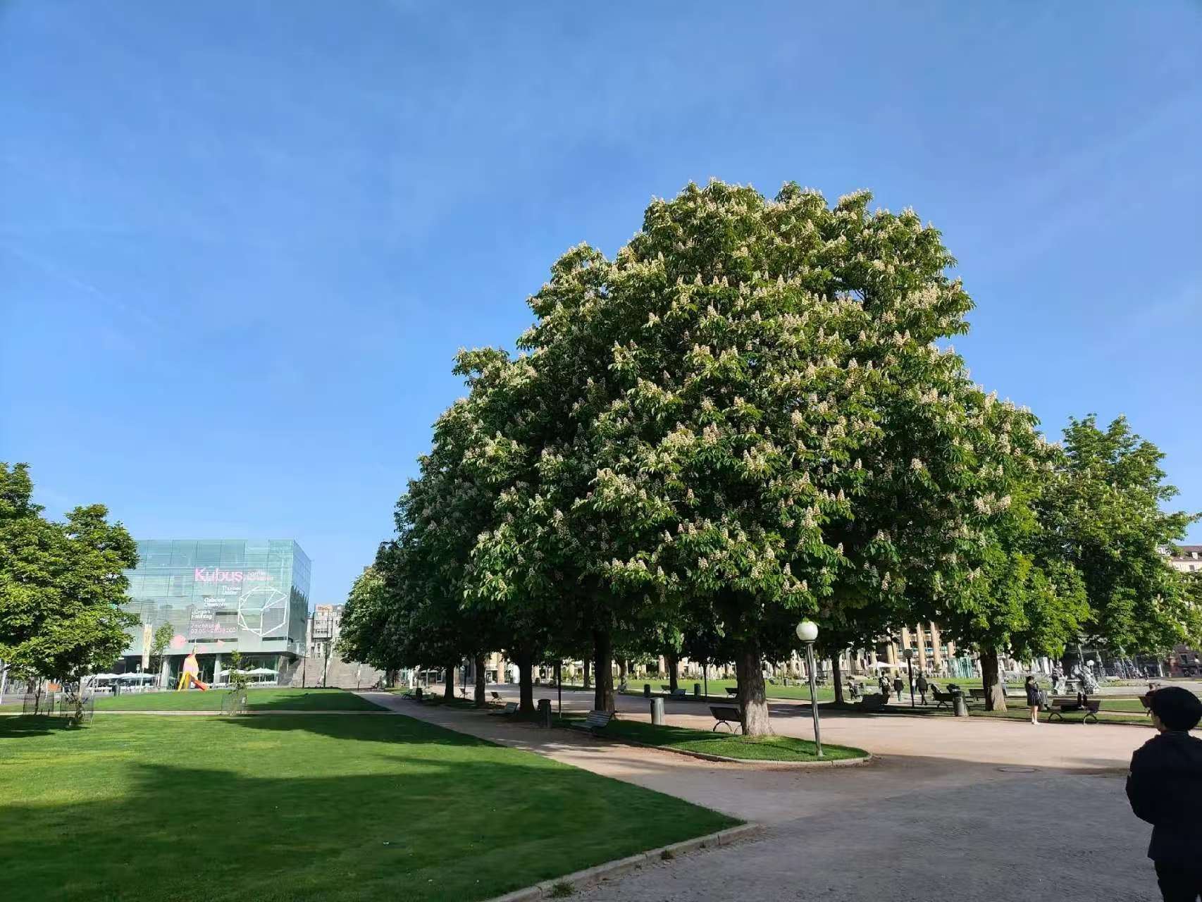 1-day tour of New Palace, Palace Square, Old Palace & Württemberg State Museum in Stuttgart