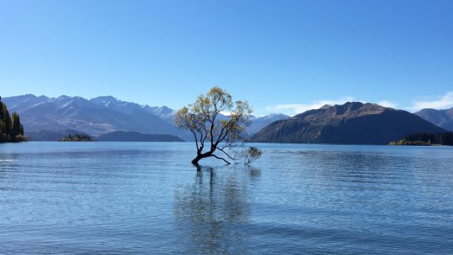 Queenstown 6-hr join-in tour: Arrowtown Trail + Wanaka Lake View + The Lone Tree