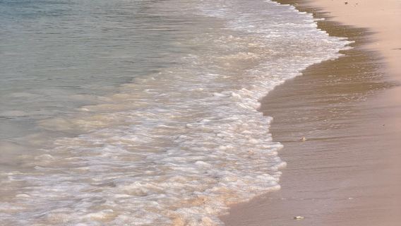 龍目島粉紅沙灘一日遊【純玩私人團、浮潛、酒店接送、含午餐】