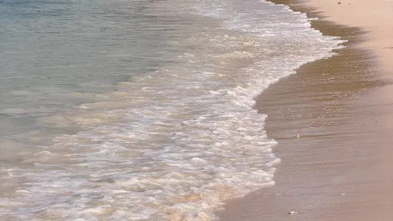1-day tour to Lombok pink beach [private tour, snorkeling, hotel pickup, lunch included]