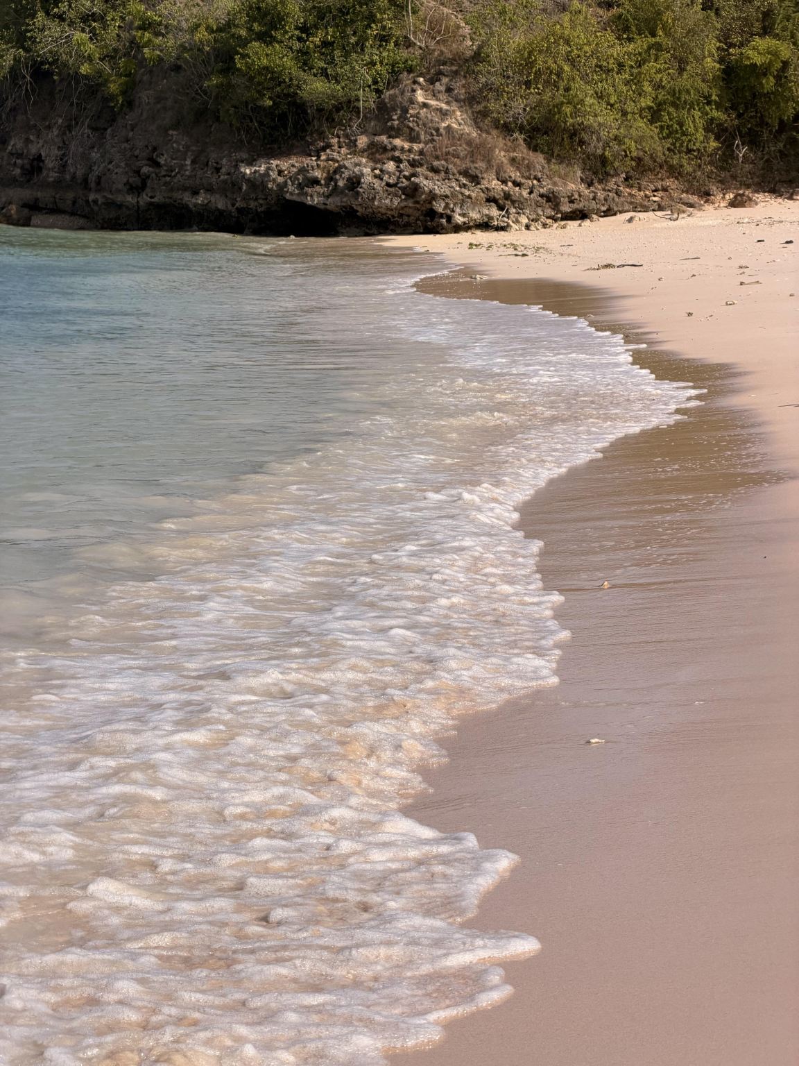 Lawatan sehari ke Pantai Pink Lombok [Pakej persendirian, snorkeling, pengangkutan hotel, termasuk makan tengahari]