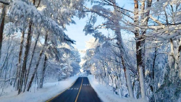 漢拿山國立公園+橘子咖啡廳+柱狀節理帶+海豚公路+挾才海水浴場+涯月海邊