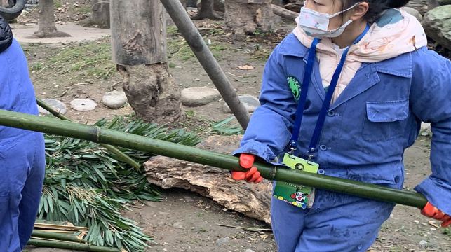 熊貓義工親子一日遊 【製作窩窩頭·體驗鏟屎官日常·基地可選】