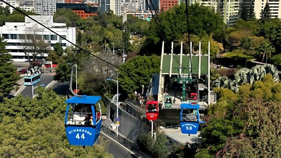 【廈門鐘鼓索道來回門票】含門票預約，正規渠道入園；可選組合：普陀寺預約&廈門大學(思明校區)入校&植物園