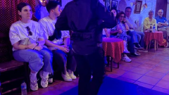 Granada: Espectáculo de flamenco en directo