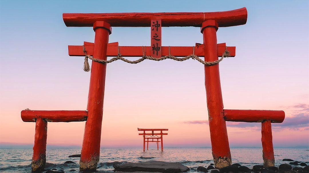 Cherry Blossom Day : Dazaifu, Yutoku Inari, Underwater Torii