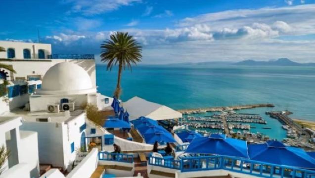 Tunis Private Tour: Carthage Ruins + Roman Baths + Blue and White Town | Africa's Version of Santorini