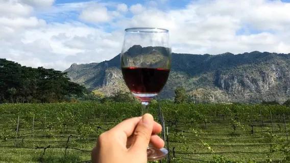 Featured tour starting at 7222 THB: Private Khao Yai Nature & Wine Experience from Bangkok