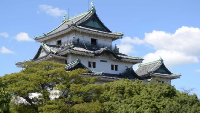 大阪出發和歌山一日遊【中文服務/行程可調/一單一團】