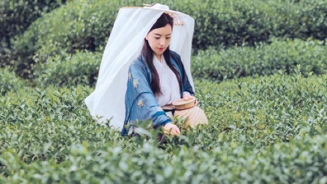 Hangzhou + Xixi National Wetland Park + Longjing Village One-day Tour [5A Wetland Park + Battery Boat Tour Original Ecological Landscape + Pure Fun Travel + Small Group of 10 People]