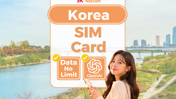 [Free T-money | Korea SIM Card] SKT 4G/LTE High-Speed ​​Data + Call SIM Card + Daiso e-coupon Giveway (Available at Korea Airport/Seoul)