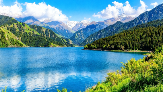 Urumqi round-trip Tianshan Tianchi 1-day tour with private charter and driver (admission ticket not included) + visit to grand bazaar