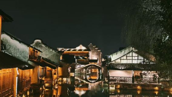 Hangzhou Gidiş-Dönüş: Wuzhen Günübirlik Turu | Çok Dilli Rehber Seçeneği | İş Seyahati Özelleştirme