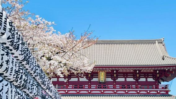 日本東京+淺草寺+秋葉原+銀座一日遊/行程可調-可定制