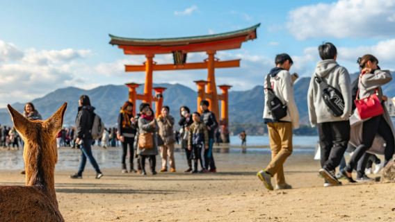 広島＆宮島：ガイド付きツアー＋往復フェリー＋新幹線オプション