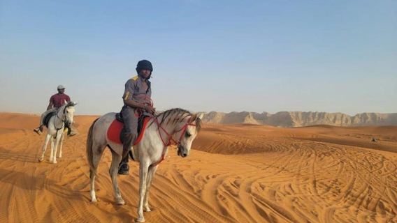 Biskra: Sahara Desert Horse Riding Tour with Guide