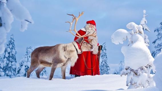 Rovaniemi: Full-Day Highlights Tour with Buffet Lunch