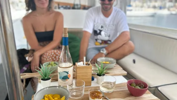 Puerto de Mogán: Boat Cruise + Dockside Wine Pairing