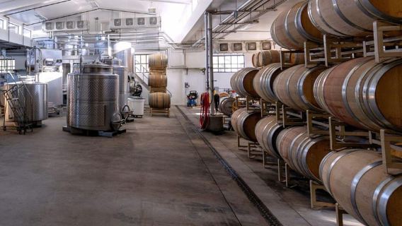 Paso Robles: 3-Winery Tour with Picnic Lunch