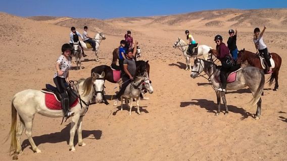 Hurgada'dan: Makadi Körfezi At Binme Turu