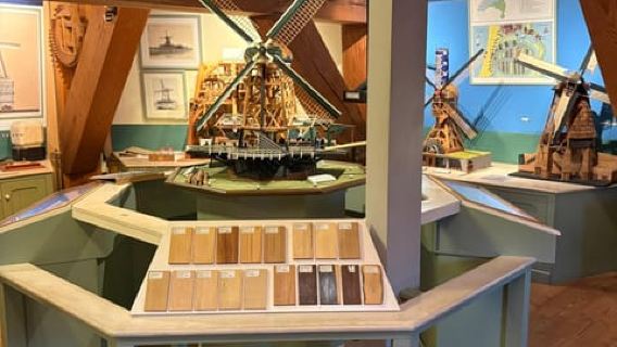 Haarlem: De Adriaan Windmill Tour + Open Canal Cruise