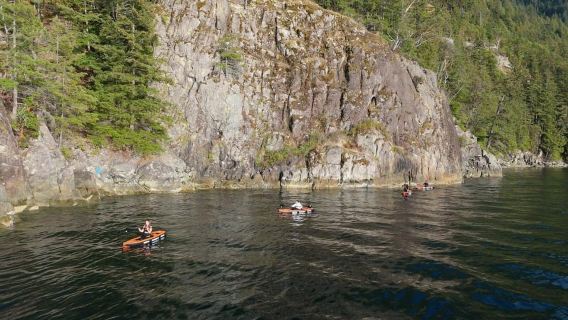 Vancouver UNESCO Biosphere Seals Snorkel Kayak Boat Tour