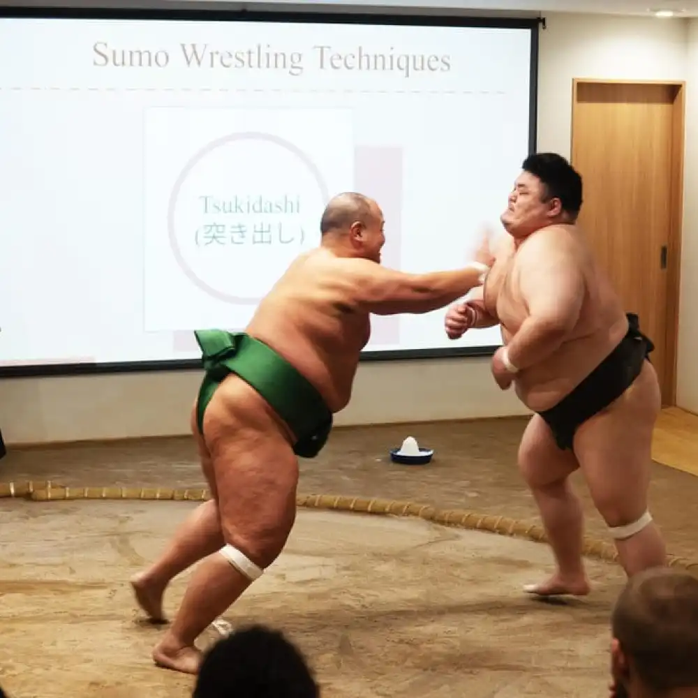 Osaka: Sumo Show & Live Match with Photo | Trip.com